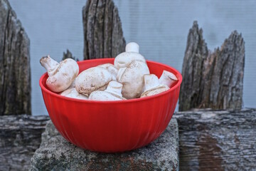 fresh white champignon mushrooms lie in a red bowl on a gray table