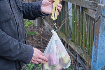 hands of a man in black clothes weighing a white bag of apples with a canter on an autumn street
