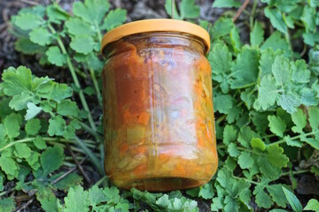 one closed glass jar with red lecho from canned pepper lies on the ground and green vegetation on a spring street