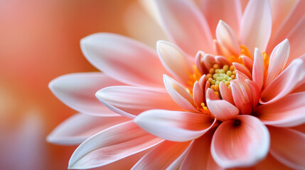 Fototapeta premium Happy and Excited Young Couple Look Around In Wonder at their Newly Purchased / Rented Apartment. Beautiful People Poses Happily. Big Bright Modern Home with Cardboard Boxes Ready to Unpack.