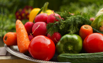 Tomatoes, cucumbers, greens, and other vegetables grow on the lawns.