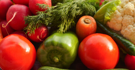 Tomatoes, cucumbers, greens, and other vegetables grow on the lawns.