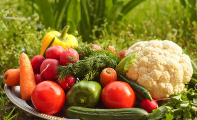Tomatoes, cucumbers, greens, and other vegetables grow on the lawns.