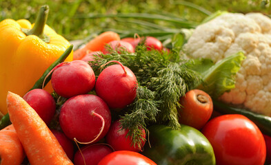 Tomatoes, cucumbers, greens, and other vegetables grow on the lawns.