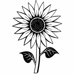 Fototapeta premium vector illustration of a black and white icon of a sunflower Icon in white background