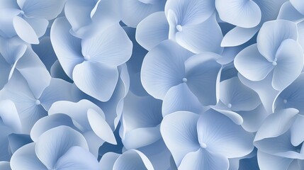   Blue flowers arranged as a bouquet with multiple petals on top