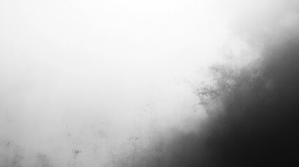 Monochromatic Foggy Landscape: A Study in Grayscale