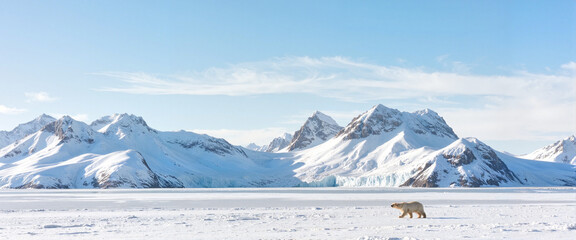 Polar bear wandering on snow-covered landscape, nature's majesty © Anastasiya