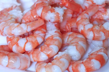 Close-up of freshly boiled shrimp arranged on a white plate. The vibrant orange and white color pattern highlights their perfectly cooked texture. 