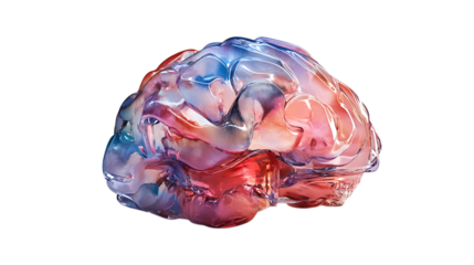 3D watercolor brain illustration with transparency effect. Medical, psychology, and neuroscience concept on white background.