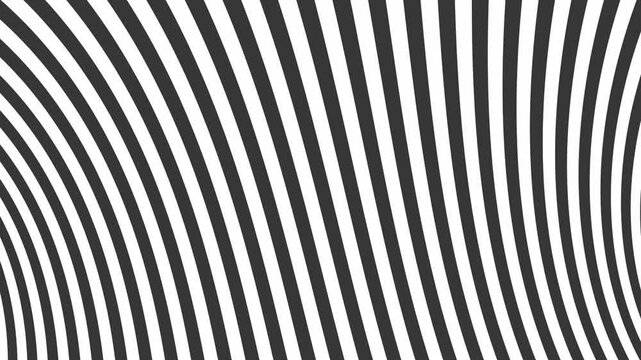 Motion background with animated zebra lines (1920x1080 30fps 13s).