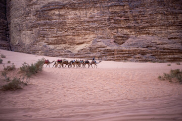a man rides a camel in the desert,a hot place,the ecology is clean,fine desert sand,camels that carry people and do not suffer from thirst,the hot sun burns the sands,no water,no plants