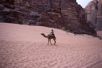 a man rides a camel in the desert,a hot place,the ecology is clean,fine desert sand,camels that carry people and do not suffer from thirst,the hot sun burns the sands,no water,no plants