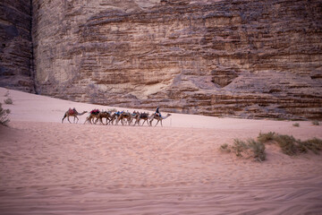 a man rides a camel in the desert,a hot place,the ecology is clean,fine desert sand,camels that carry people and do not suffer from thirst,the hot sun burns the sands,no water,no plants