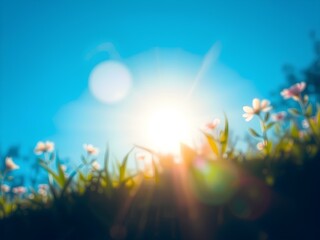 sun shining through the grass