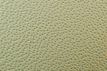 Textured Surface of Light Green Leather Material