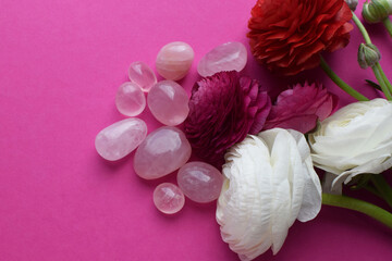 Round stones of natural rose quartz with ranunculus flowers on a fuchsia background. Women's...
