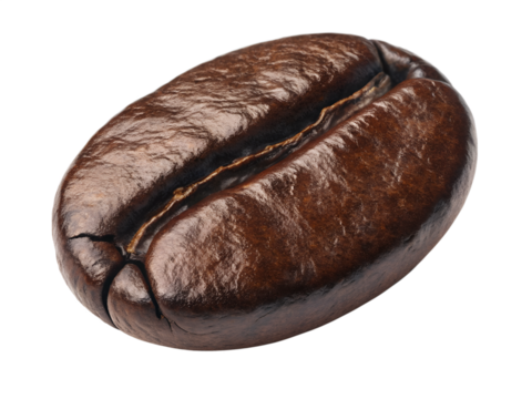 Dark roasted coffee bean ready for brewing in morning drink