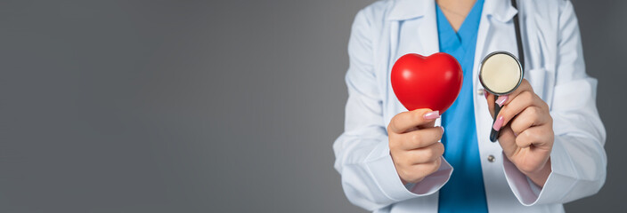 The Doctor holding heart, cardiology