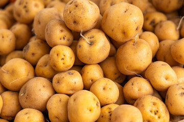 Organic creole potato in the traditional Colombian market - Solanum phureja