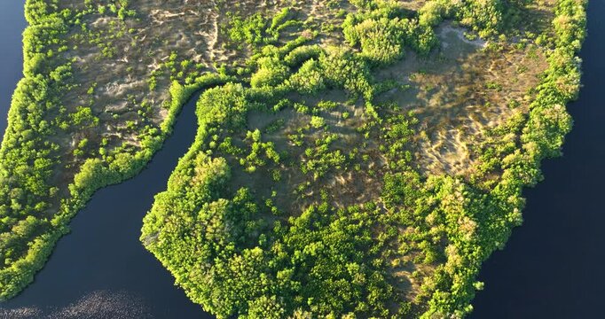 Florida wetlands with river between green wild vegetation. Tropical ecosystem at sunset