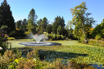 Beautiful fountain and lily pond at the VanDusen Botanical Garden, Vancouver, Canada. 