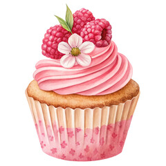Cupcake with raspberry and pink cream. Isolated watercolor illustration.