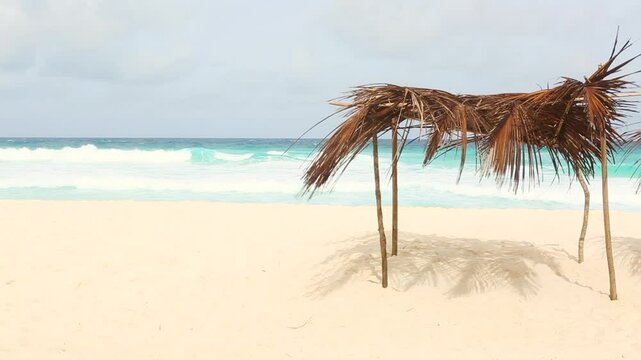 Palm sunroof at the beach of La Dique, Seychelles