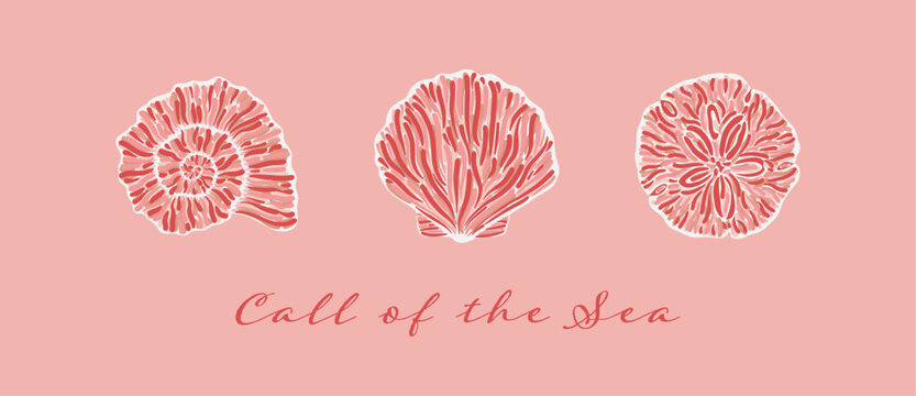 Stylized various shell design illustrations on pink background with Call of the Sea quote