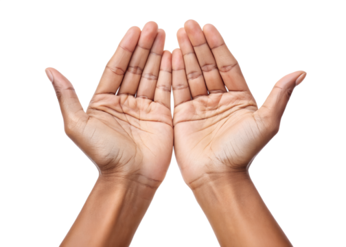 Open hands displaying palm up gesture for communication and connection