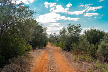 Country road between plowed agricultural fields in Turkey. Nature of the Mediterranean region in Turkey.