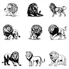 set of lion victor design, lion, king, jangle, animal, vector, animals, king of the jangle, silhouette, horse, illustration, set, drawing, farm, sketch, wild, tiger, vintage, cat, icon