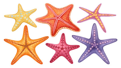 Colorful starfish collection with a transparent background