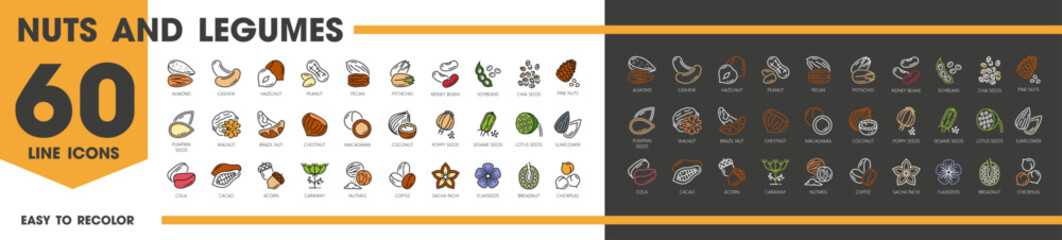 Nuts and legumes line icons. Almond, cashew, hazelnut, peanut and pecan, pistachio, kidney or beans. Soybeans, chia seeds, pine nuts, pumpkin or walnut. Brazil nut and chestnut, macadamia and coconut