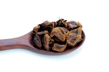 Arhat fruit, Buddha fruit, monk fruit (Luo han guo)
