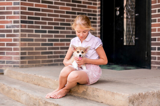 Ginger smiling girl in pink dress sitting on stairs holding corgi puppy