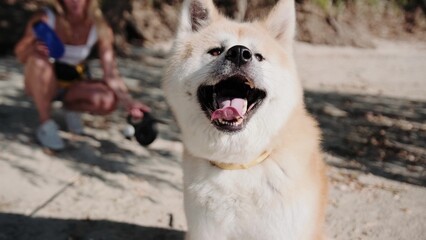 Pet owner enjoying walk with her dog outdoors on the beach. Slow motion