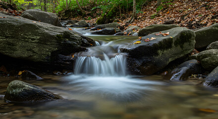 Fototapeta premium Serene Autumn Streamlet Cascading over Mossy Rocks