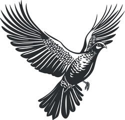 Fototapeta premium Monochrome illustration of a stylized bird in flight with detailed wings and feathers.