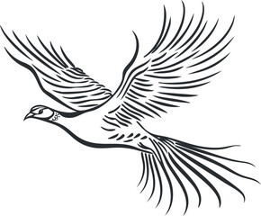 Obraz premium Black and white illustration of a stylized bird in flight with detailed feathers.