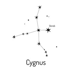 Minimalist vector illustration of the Cygnus constellation with labeled Deneb star. Perfect for astronomy enthusiasts, educational materials, and celestial-themed designs.