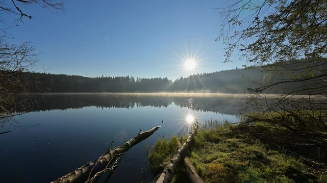 See, Sonnenaufgang, Nebel, Fr&uuml;hling, Windgf&auml;llweiher, Lenzkirch, Schwarzwald, Baden-W&uuml;rttemberg, Deutschland, Europa