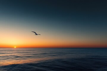 serene ocean horizon at dusk with gradient sky and soaring bird