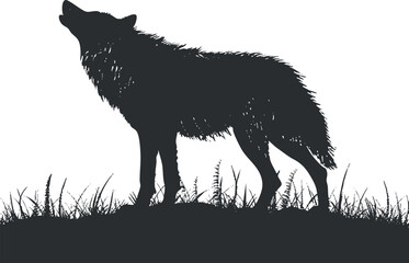 Obraz premium Silhouette of a howling wolf standing in grass on a white background.
