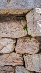 arrangement of ancient stones with in-grown plants