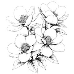 Gallery-Magic Flowers: Relaxing Coloring Pages for Adults and Teens" in Vintage Style