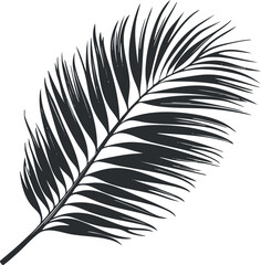 Obraz premium Black and white silhouette of a palm leaf, showcasing tropical botanical design.