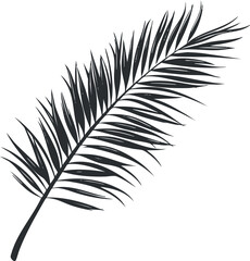 Obraz premium Silhouette of a palm leaf in black and white, perfect for tropical design elements.