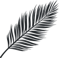 Black and white silhouette of a tropical palm leaf, perfect for design and decoration.