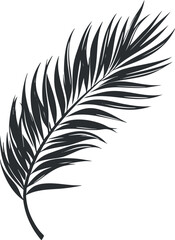 Obraz premium Black and white silhouette of a palm leaf, perfect for botanical and tropical design themes.